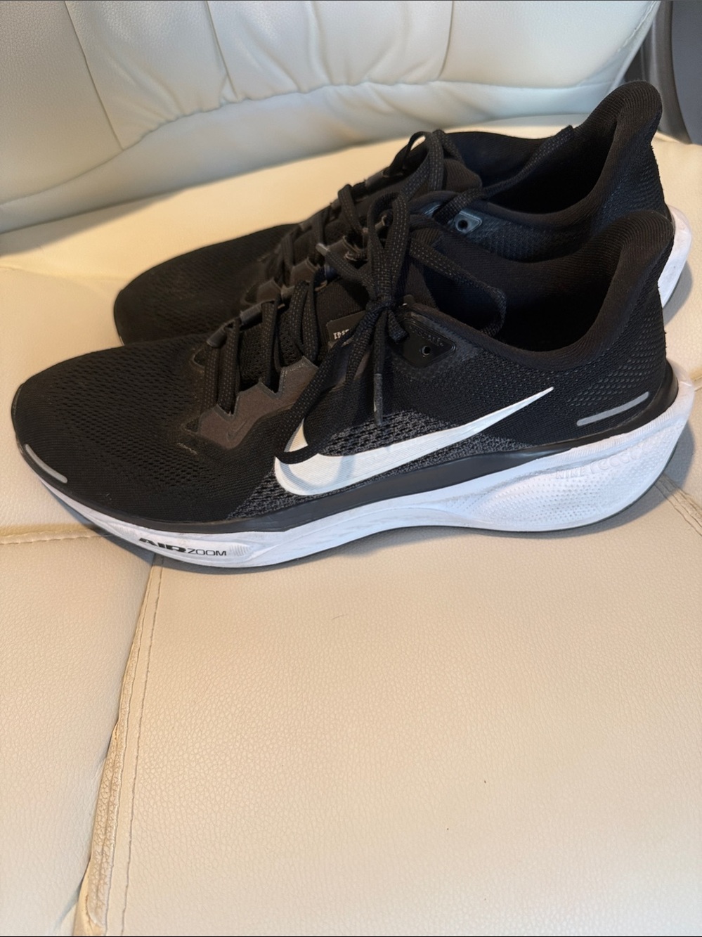 Nike Air Zoom Pegasus Men’s Shoes